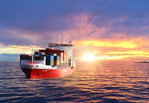 Maritime and international air cargo transportation
